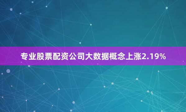 专业股票配资公司大数据概念上涨2.19%